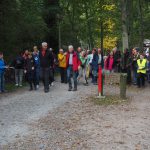 DIE RHEINPFALZ und Wochenblatt