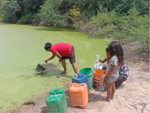 Mehr über den Artikel erfahren 51. Hungermarsch 2026 – Lebensgrundlagen erhalten