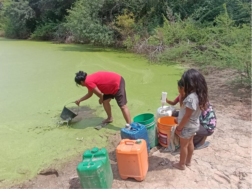 51. Hungermarsch 2026 – Lebensgrundlagen erhalten