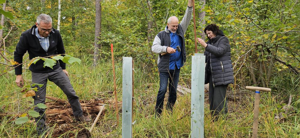 Hungermarschtag 2025 - Die Projektpartner pflanzen einen Baum